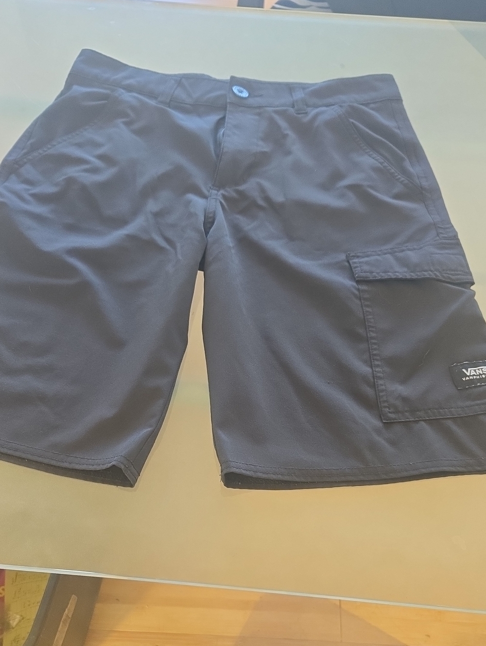 Vans Men’s Dark Blue Cargo Shorts